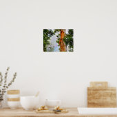 Poster des arbres hawaïens (Cuisine)