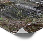 Poster des arbres inondés (Coin)