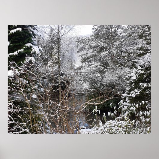 Poster des arbres neigeux (Devant)