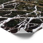 Poster des arbres neigeux (Coin)