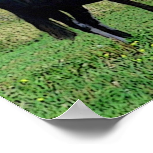 Poster des baisers (Coin)