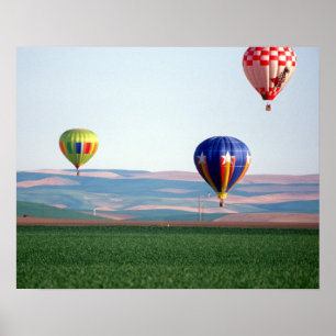 Poster Des ballons à air chaud colorés flottent au-dessus