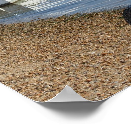 Poster des bateaux de rangée (Coin)