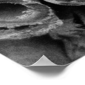 Poster des bâtons de cannelle (Coin)