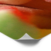 Poster des bonbons assortis Imprimer (Coin)