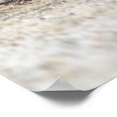 Poster des boutons de poulet (Coin)