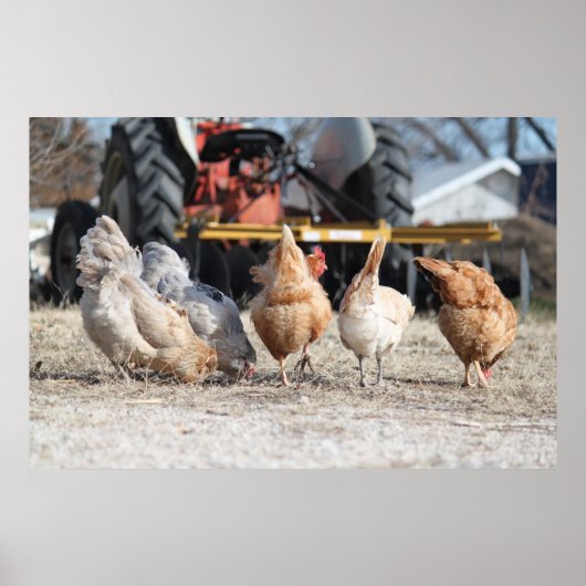 Poster des boutons de poulet (Devant)