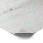 Poster des Canards colverts sur glace (Coin)