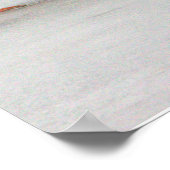 Poster des Canards colverts sur glace (Coin)