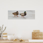 Poster des Canards colverts sur glace (Cuisine)