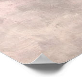 Poster des canards volants (Coin)