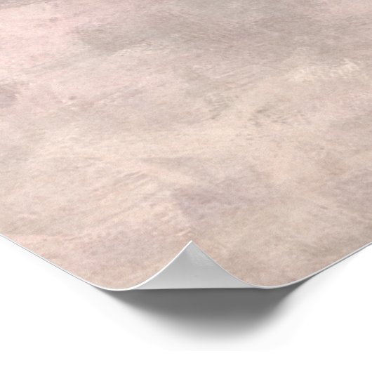 Poster des canards volants (Coin)