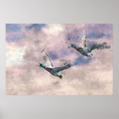 Poster des canards volants (Devant)