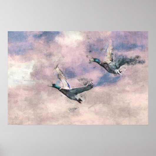Poster des canards volants (Devant)