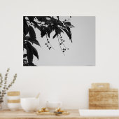 Poster des cerises sauvages (Cuisine)