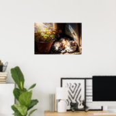 Poster Des chatons dans le hangar du jardin (Bureau à domicile)