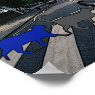 Poster des chats Abbey Road