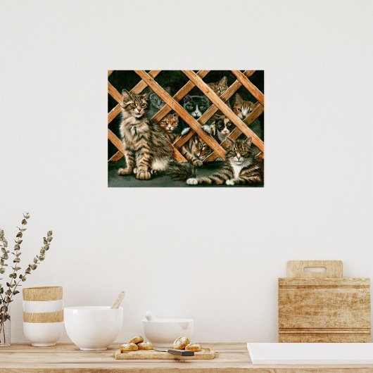 Poster des chats treillis, tabby's tuxedos kmcorig (Cuisine)