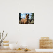 Poster des chevaux (Cuisine)