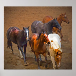 Poster des chevaux