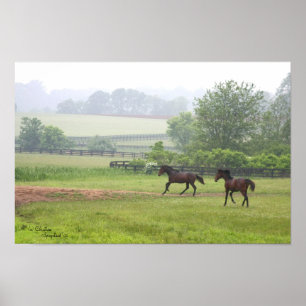 Poster des chevaux normalisés Galloping