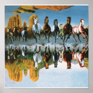 Poster des chevaux sauvages