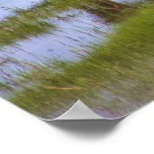 Poster des Chevaux Sauvages d'Assateague (Coin)