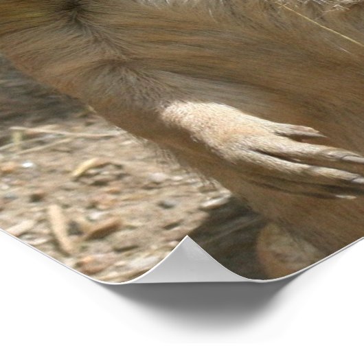 Poster des chiens des Prairies Imprimer (Coin)