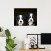 Poster des chiots bernois (Bureau à domicile)