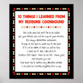 Poster Des Choses Drôle Que J'Ai Apprises De Mon Coonhoun (Devant)