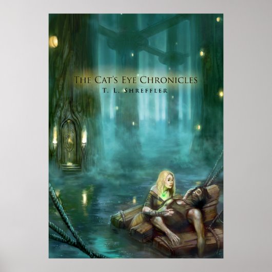 Poster des Chroniques de l'oeil du chat 20x28 (Devant)