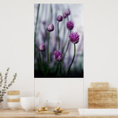 Poster Des ciboues en fleurs (Cuisine)