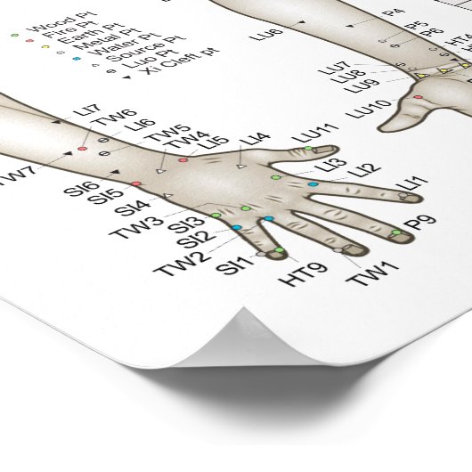 Poster des cinq éléments de l'acupuncture (Coin)