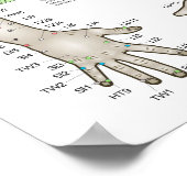 Poster des cinq éléments de l'acupuncture (Coin)