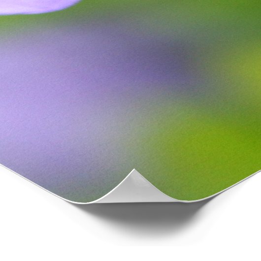 Poster des citations Lao Tzu (Coin)