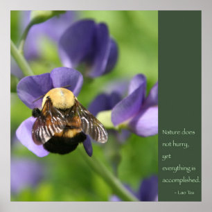 Poster des citations Lao Tzu