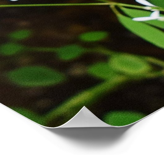 Poster des coeurs saignants (Coin)