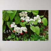 Poster des coeurs saignants (Devant)