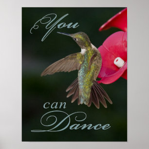 Poster des colibris