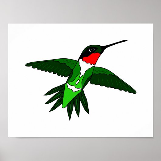 Poster des colibris (Devant)
