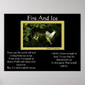 Poster Des Colibris De Feu Et De Glace (Devant)