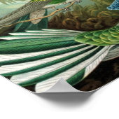 Poster des colibris de Haeckel (Coin)