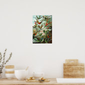 Poster des colibris de Haeckel (Cuisine)