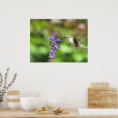 Poster des colibris de Northwoods (Cuisine)