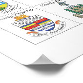 Poster des comtés d'Irlande (Coin)