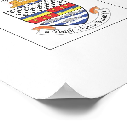 Poster des comtés d'Irlande (Coin)