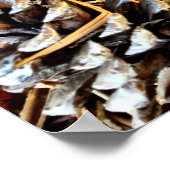 Poster des cônes de pin et des aiguilles de pin (Coin)