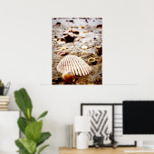 Poster Des coquillages en bord de mer.. Imprimer (Bureau à domicile)
