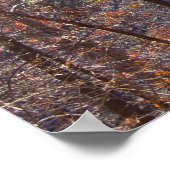 Poster des couleurs dans la forêt d'hiver à l'aube (Coin)