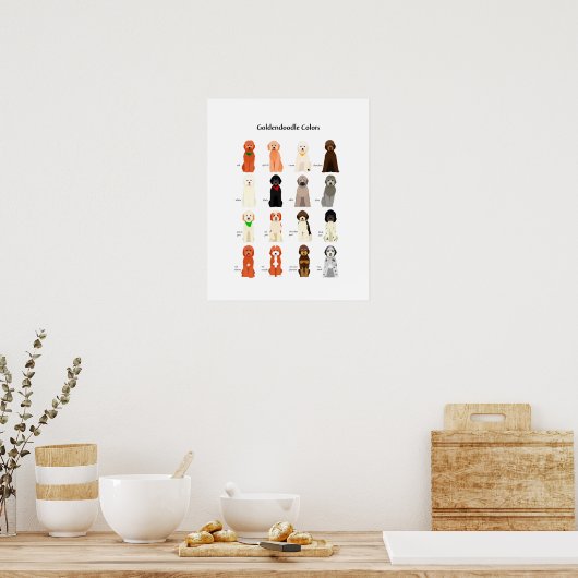 Poster des couleurs Goldendoodle (Cuisine)